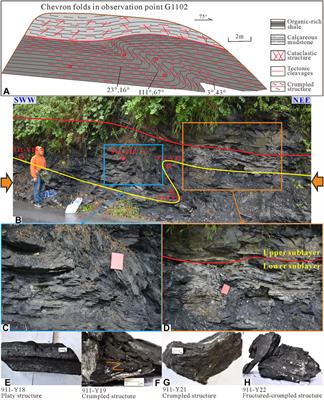 Distribution Prediction of Shale Deformation Structures in Tectonically Complex Area Based on Relationship Between Geological Structures and Shale Deformation